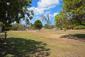 Mature Trees on Some Lots