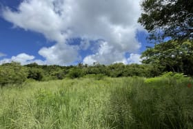 View across the site