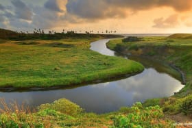 Green Pond