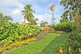 Landscaped gardens