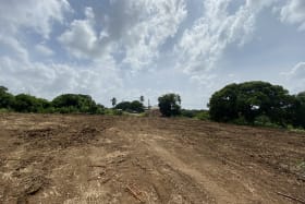 Large lot great for building