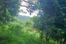 Ridge View from the land