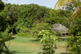 Cottage on Adjoining Lot