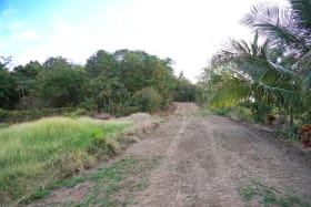 Road leading to the lot at the top of the hill on the left side.