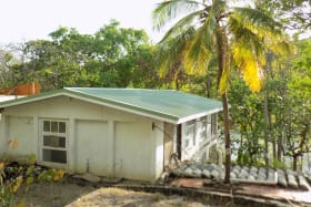 Almond and Coconut Trees surround the Beach House