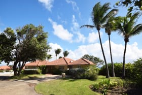 Driveway leading to Idyllic Villa
