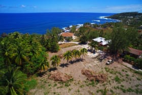 Eastern boundary is lined with coconut trees