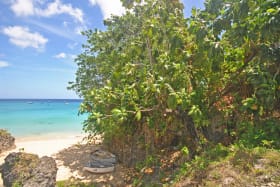 Around the Bay access to beachfront