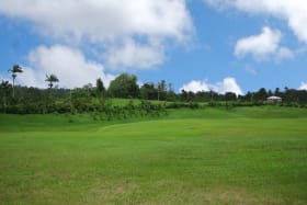 View of the lot