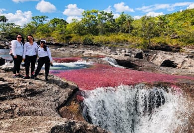 Caño Cristales