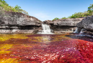 Caño Cristales