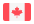 Canada DMF Flag