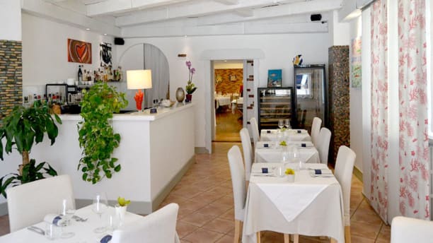 Cafe Del Mar A Vigevano Menu Prezzi Immagini Recensioni E Indirizzo Del Ristorante