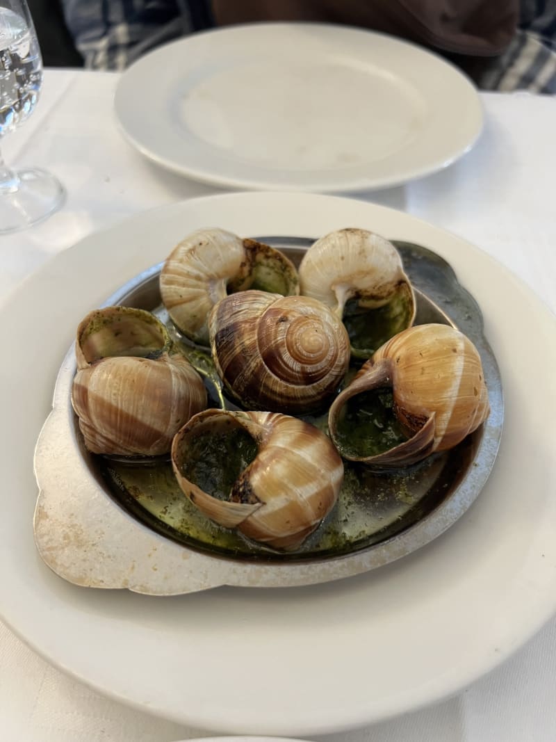 Escargots : How much do escargots cost? – Mon Panier Latin