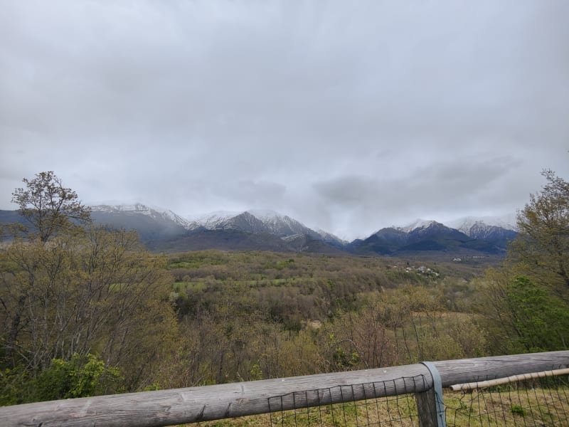 Da Patrizia, Amatrice