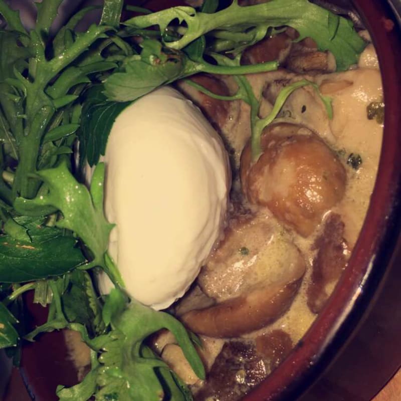 Entrée champignons - Le Génie Sous Les Étoiles, Paris