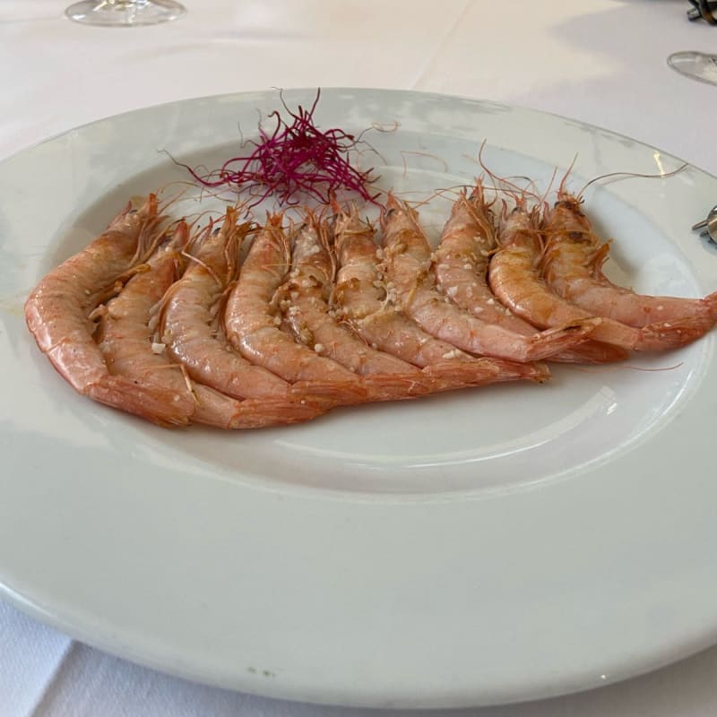 Gambas - Materia Prima, Madrid