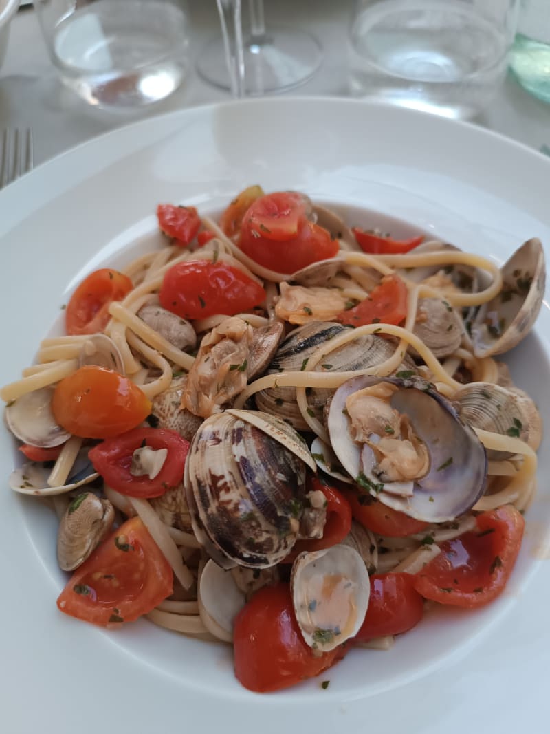 Antico Cedro, Santa Margherita Ligure