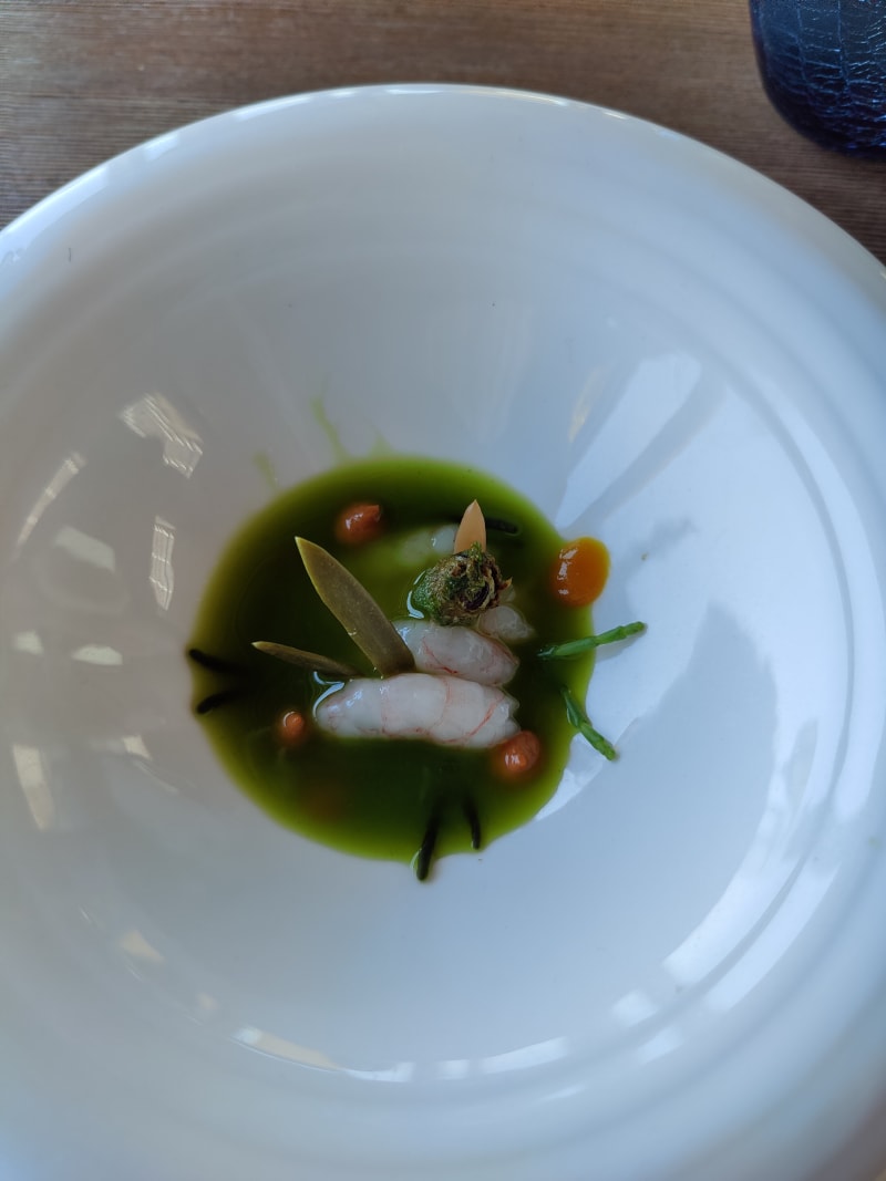 Quisquilla y gazpachuelo de verduras del desierto  - La Ereta, Alicante