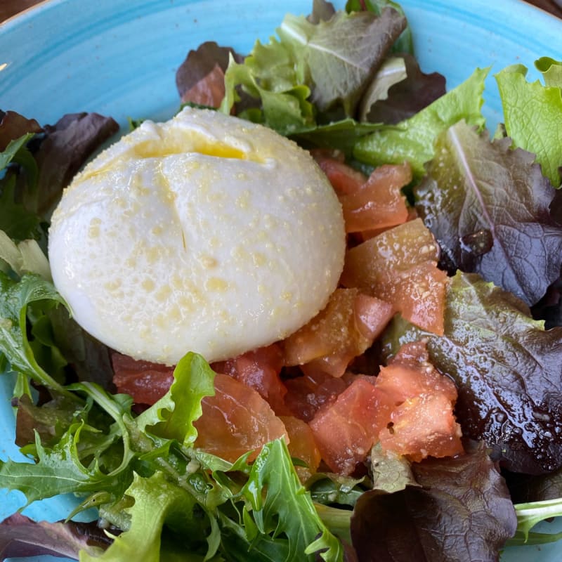 Ensalada de burrata - Juan Blanco, Boadilla del Monte