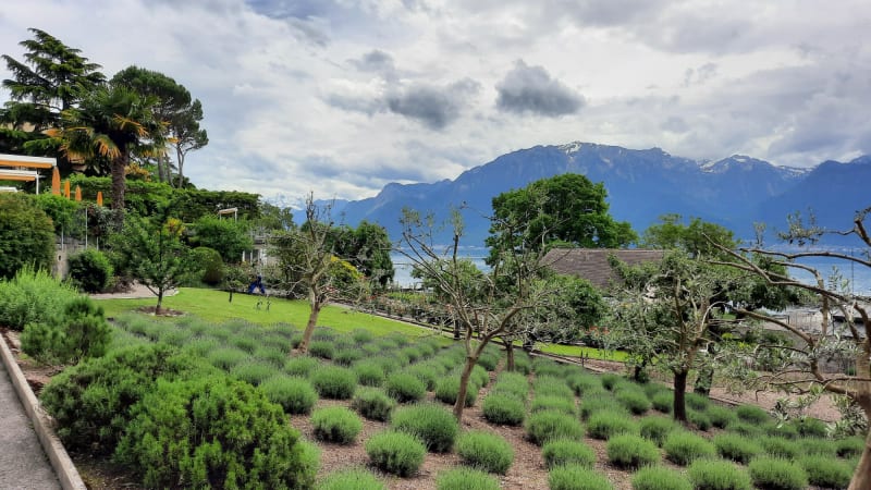 Hôtel Bon Rivage - The Garden on the Lake