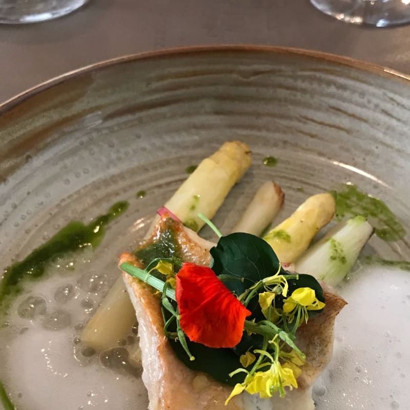 Asparagus & red snapper - D'Oude Burcht, Courtrai