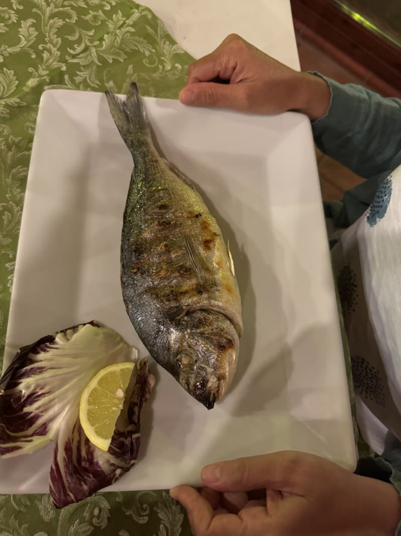 Sea Bream.jpg - Sa Colonia, Chia