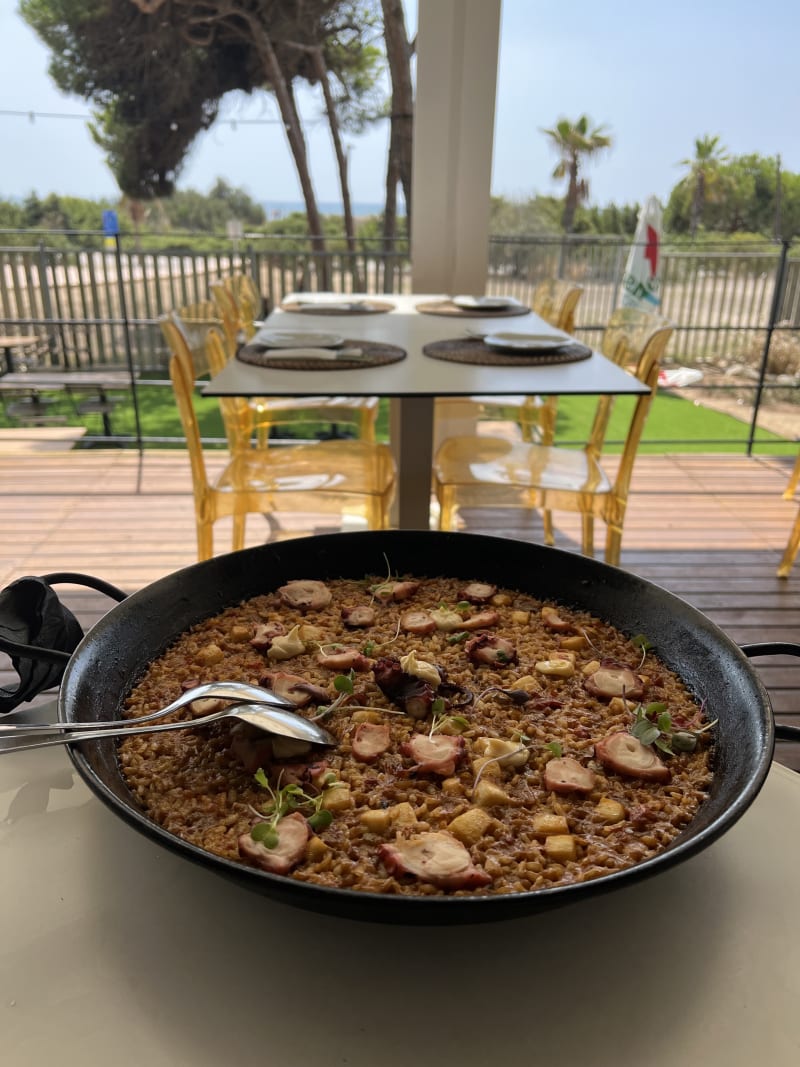 Arroz de pulpo y calamares - Espectacular (Ex-Calamar Gastro Beach), Gava