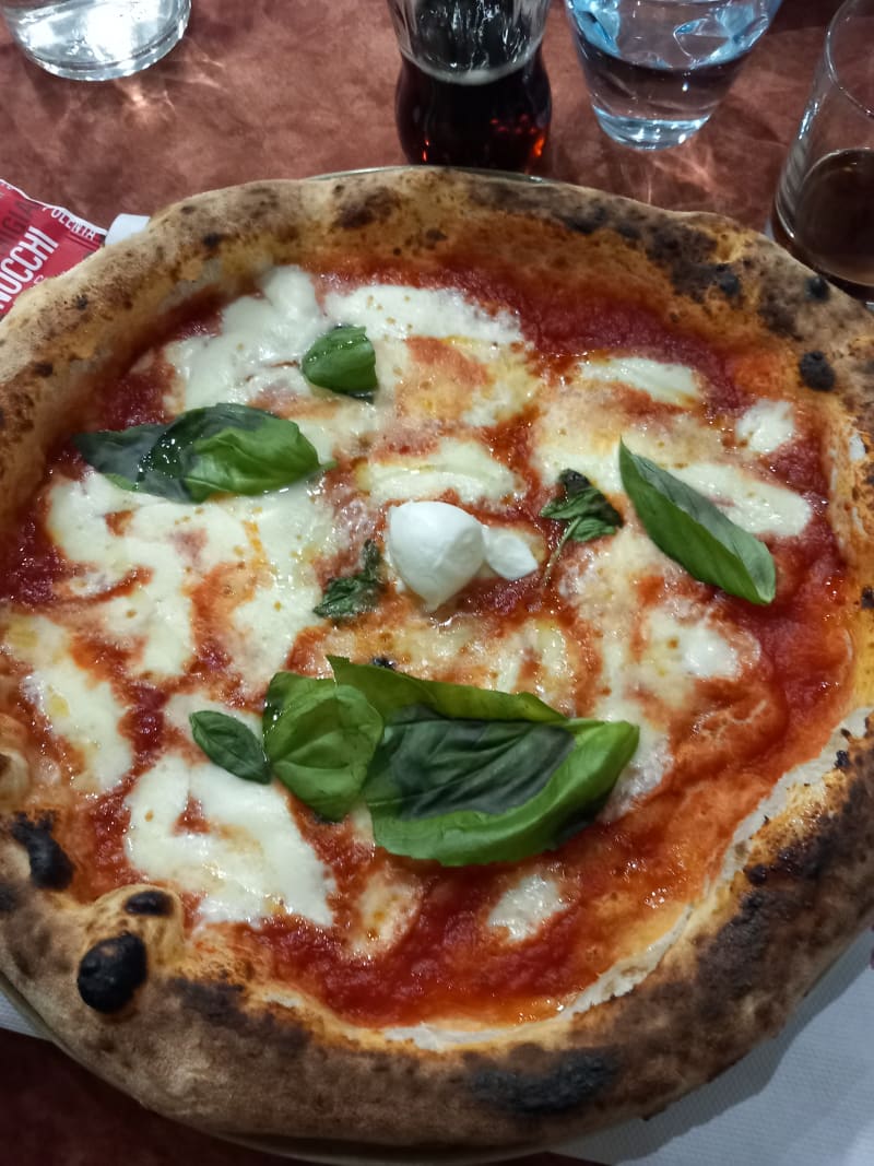 Toto (band) visual data 3