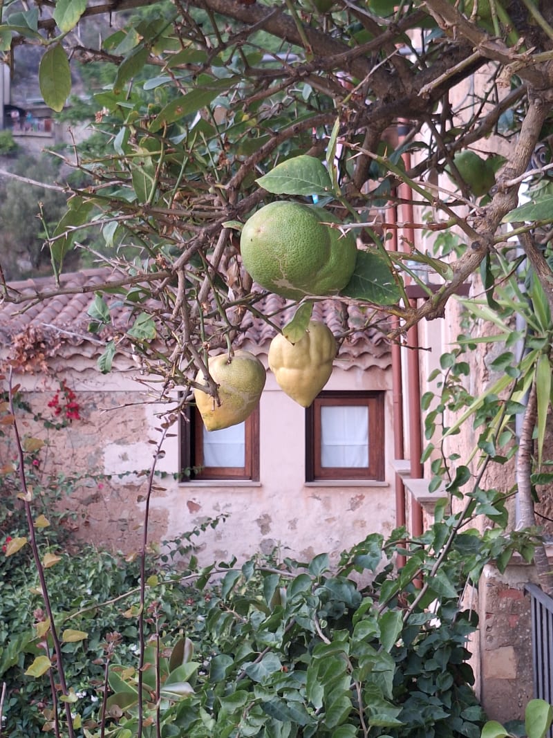 La Locanda del Fiume