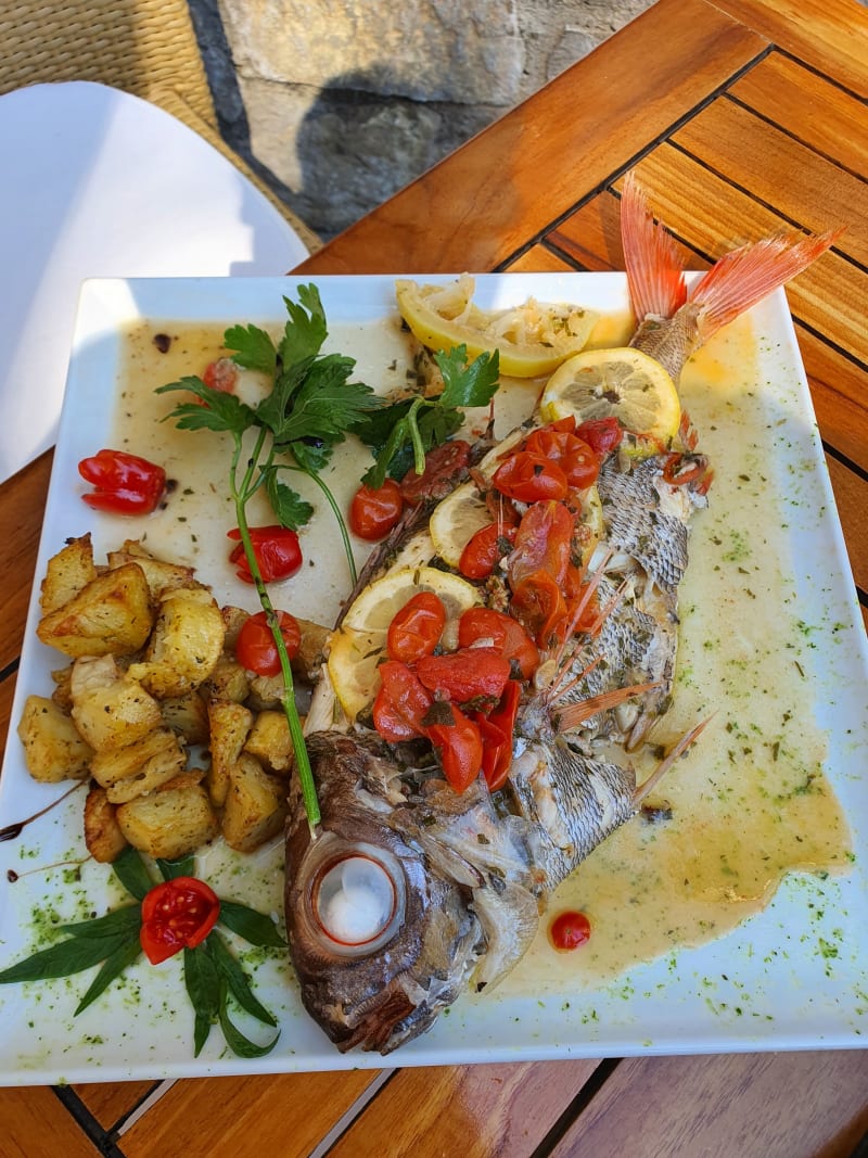 Pezzogna al forno  - La Cucina di Sofi', Ravello