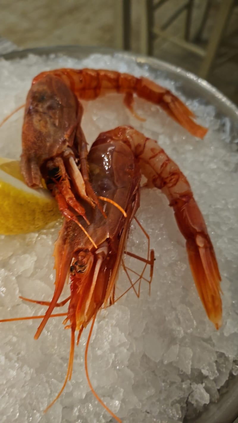 De Malde Fish Restaurant, Terracina