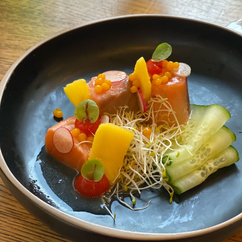 Marinated Salmon with cucumber and sprouts - Restaurant Naud, Groningen