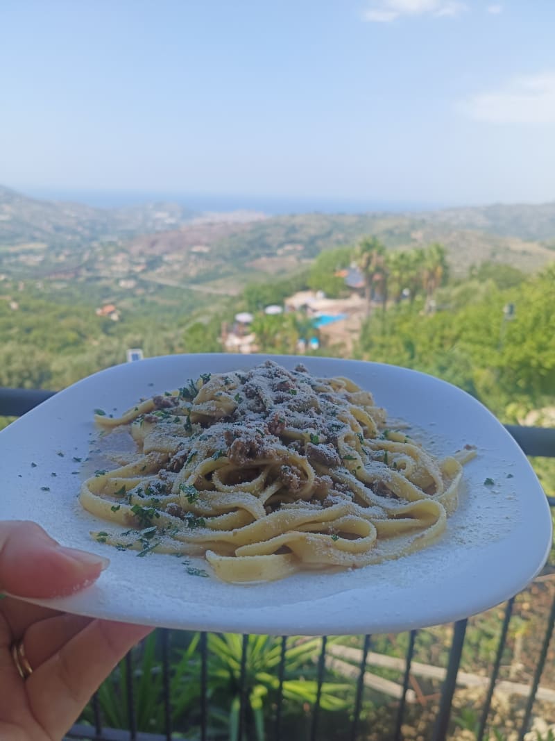 Il Falco del Cilento