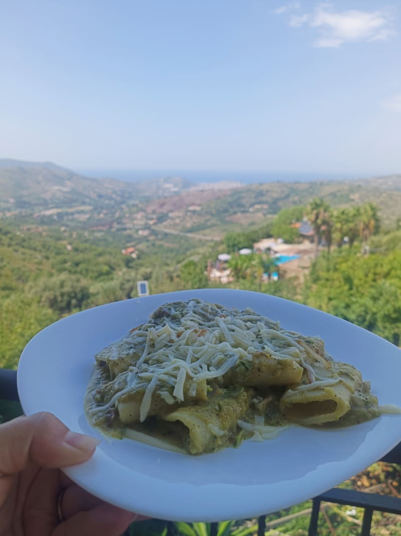 Il Falco del Cilento