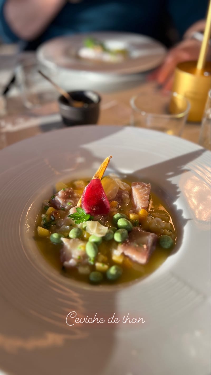 TOP 10 HOTELS IN TROINEX visual data 5