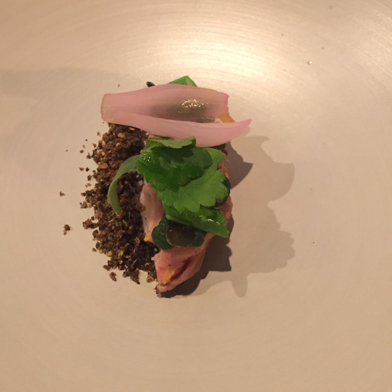 Earth 5 Course Menu - Zanze XVI, Venice