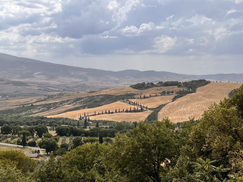 L'Olivo - Cucina Toscana Contemporanea, Torrita Di Siena