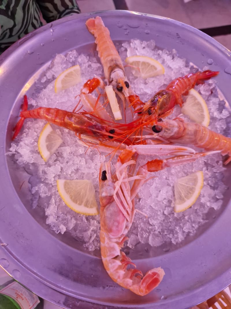 VELENO Osteria del Mare, Barletta