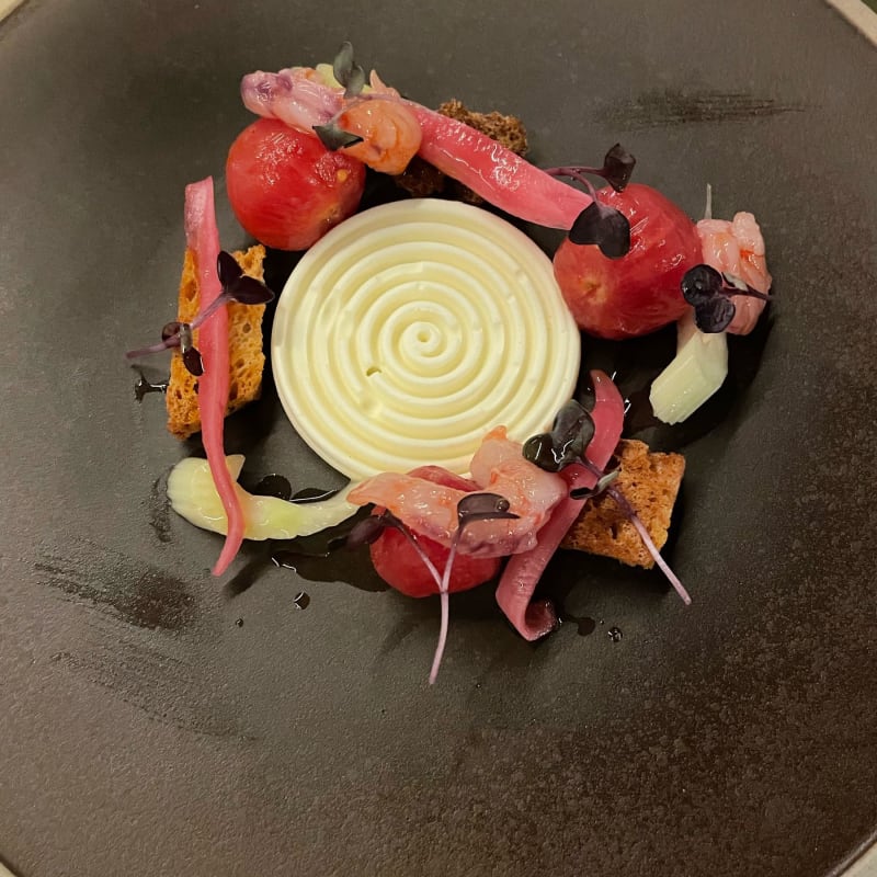 Tourbillon di burrata, gambero viola, pomodoro sedano e pane di segale - Anima, Crotone