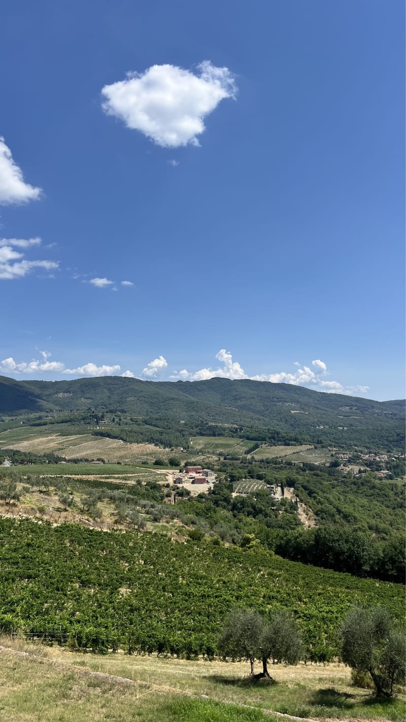 Castello Vicchiomaggio, Greve In Chianti