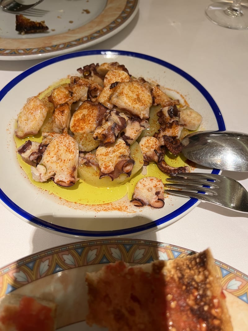 Pulpo - La Lubina, Barcelona