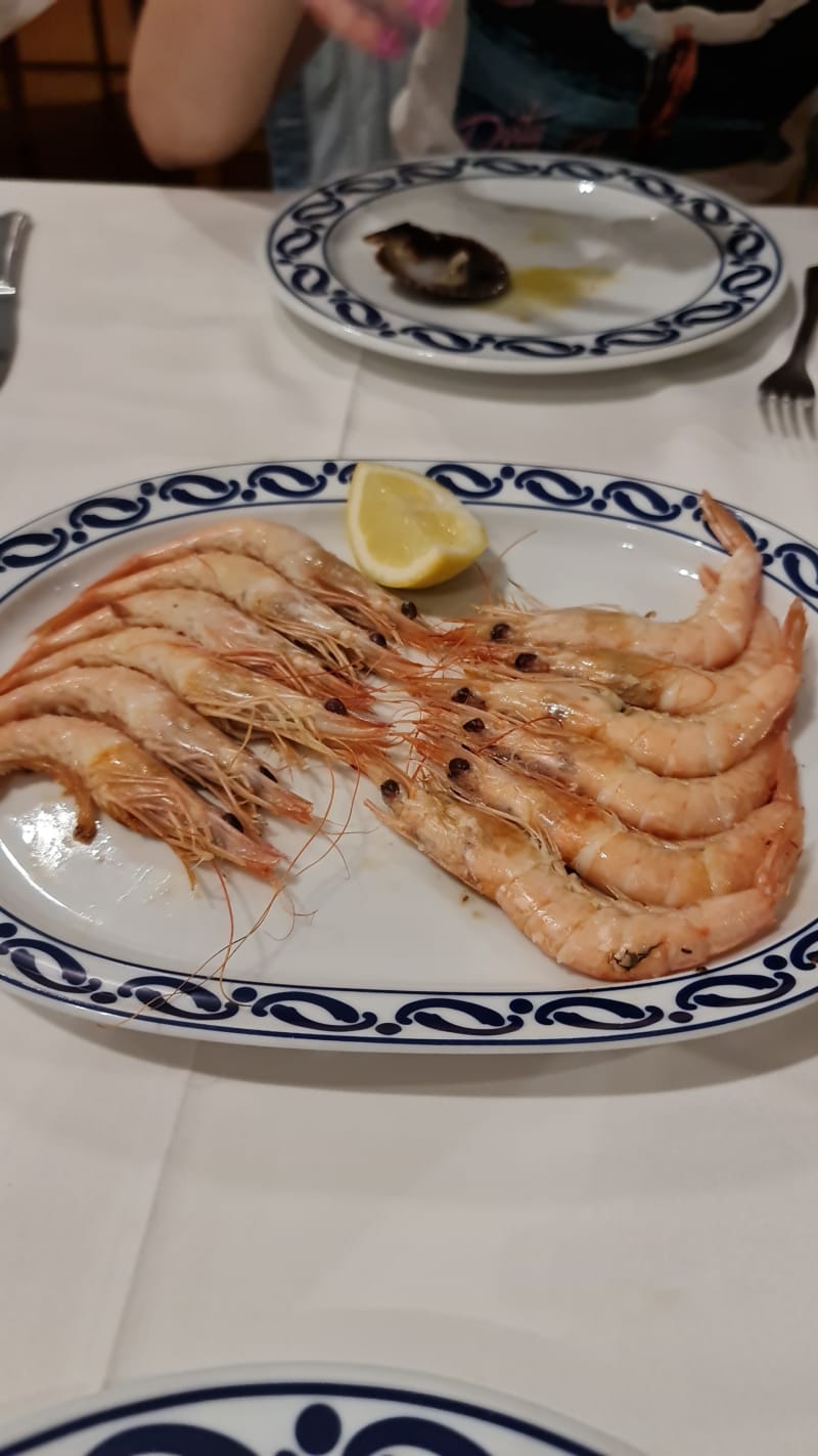 Gamba fresquisima - Burela, Madrid