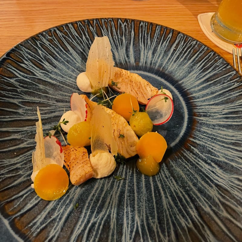 Voorgerecht van gebrande zalm met een crème van witvis, knolselderij, pompoen en kalamansi - Dinercafé De Markies, Groningen