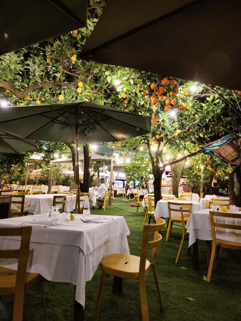 la-limonaia-in-sorrento-restaurant-reviews-menu-and-prices-thefork