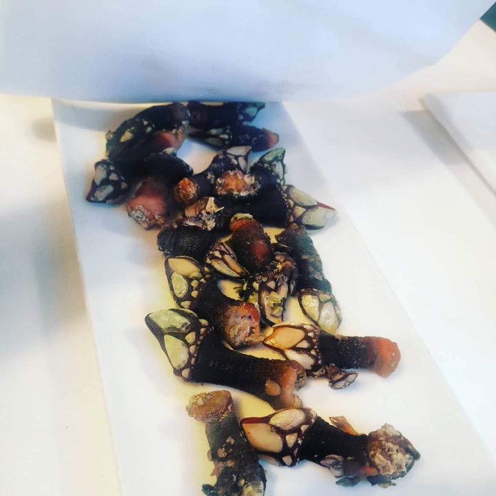 Percebes  - Carta Marina, Madrid