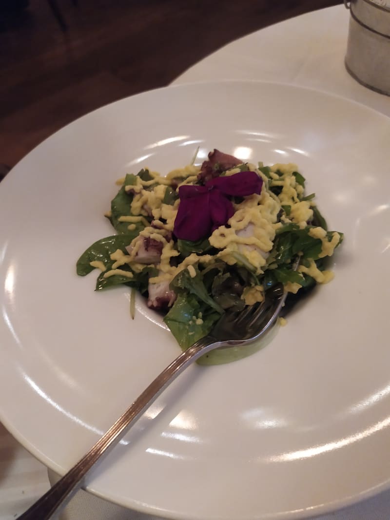 Insalata di polpo  - Trattoria della Barchetta, Rome