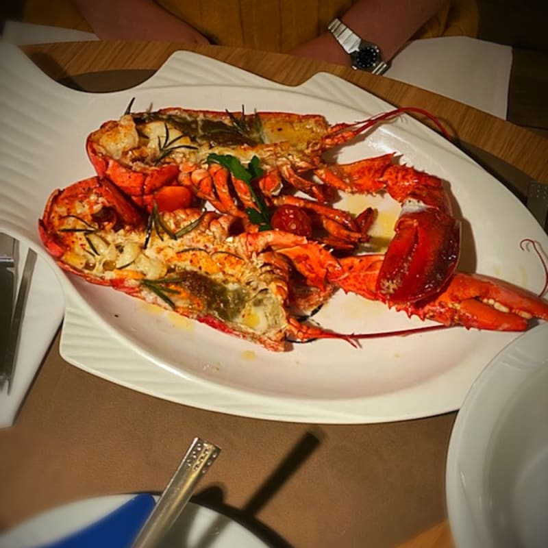 Lobster gegrillt  - Le Petit Ecailler du Zoute, Knokke-Heist