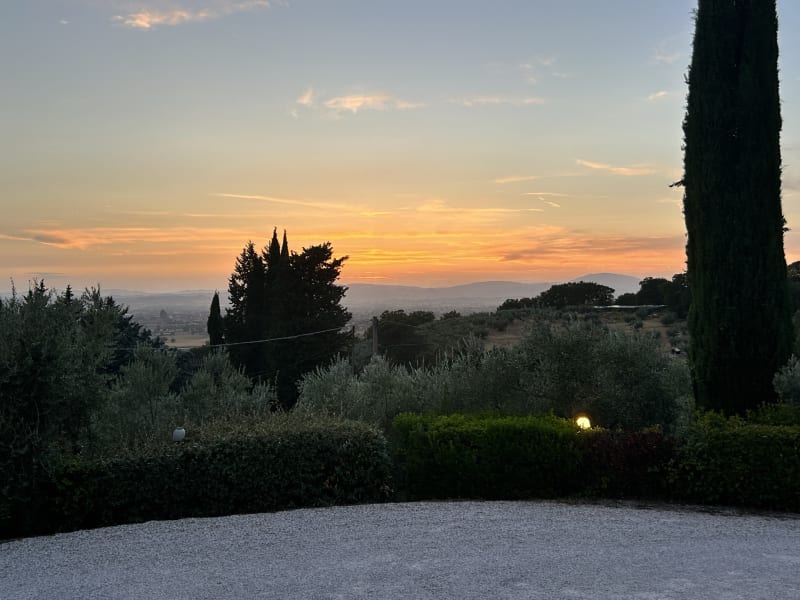 Colle degli Olivi, Assisi