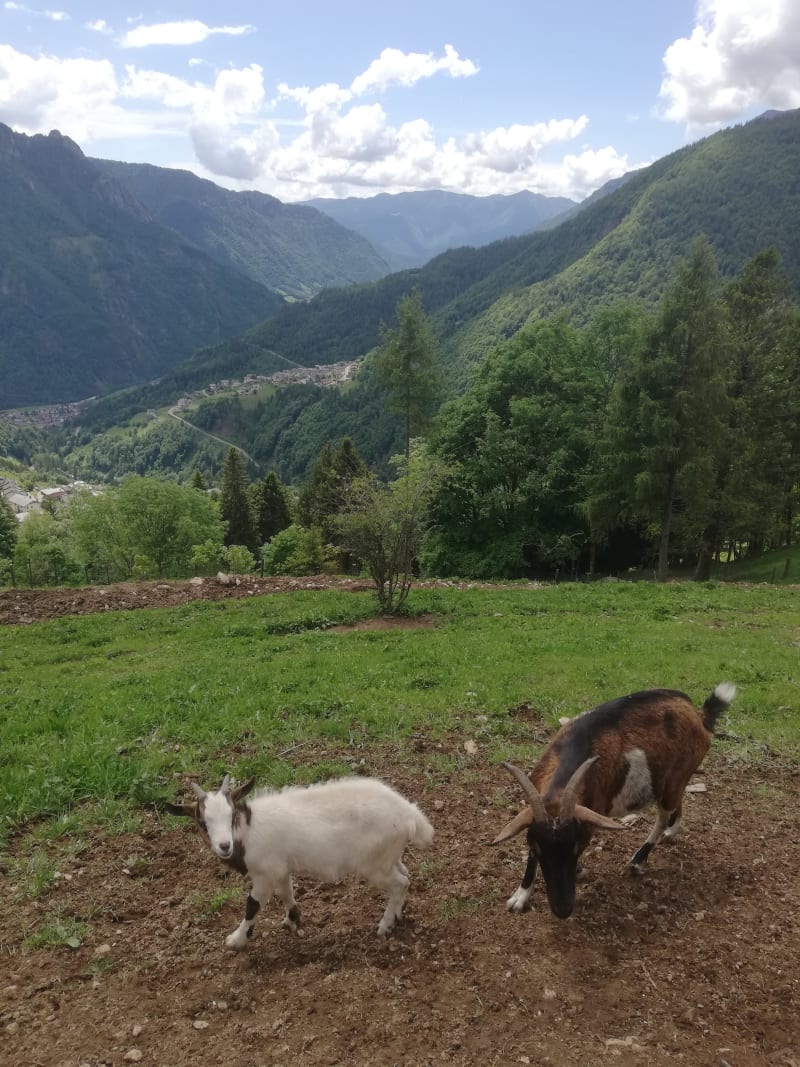 Agriturismo Cà Di Racc